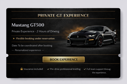 GT Experience - Mustang GT