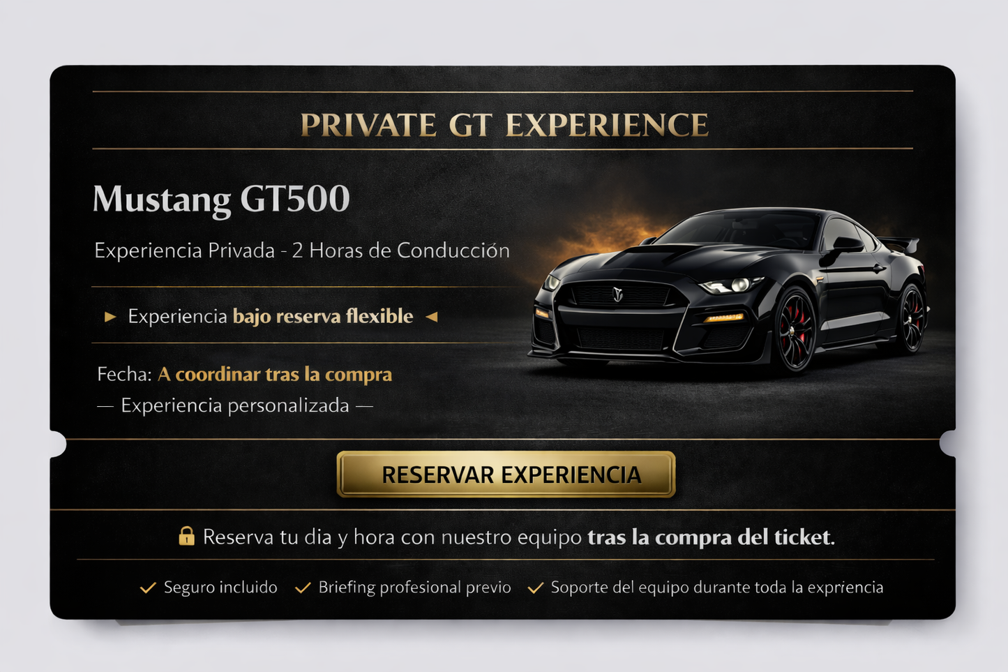 GT Experience - Mustang GT